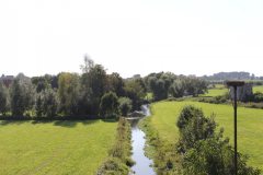 IMG_6683