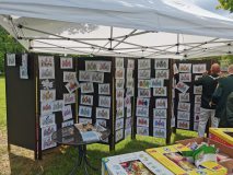 IMG_20210523_121841